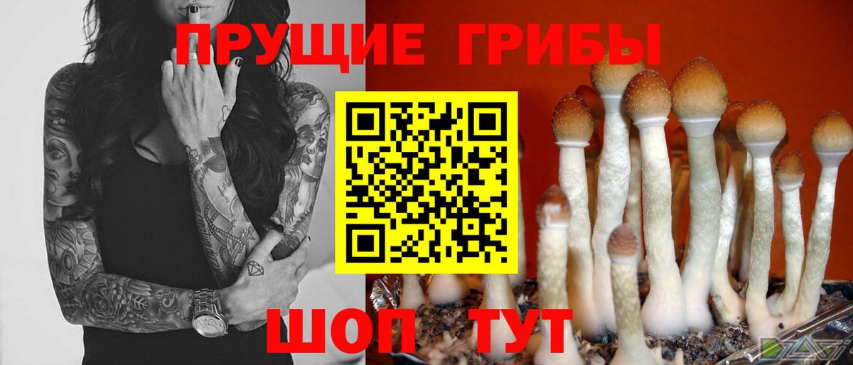 Галлюциногенные грибы мухоморы  Вход с VPN  Уссурийск 